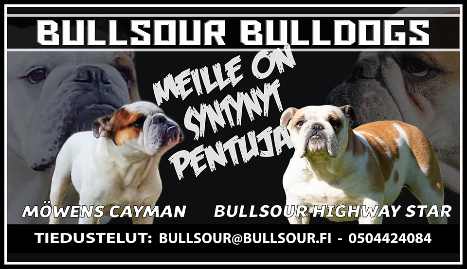 Bullsour bulldogs